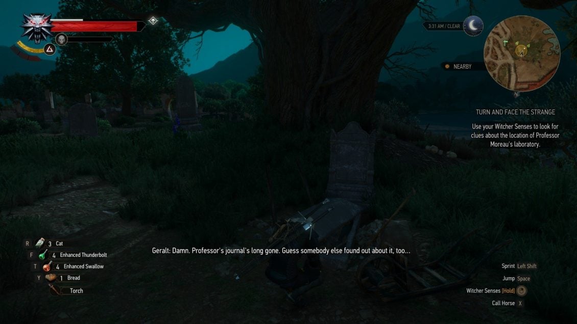 Witcher 3 Tomb Raider Reference