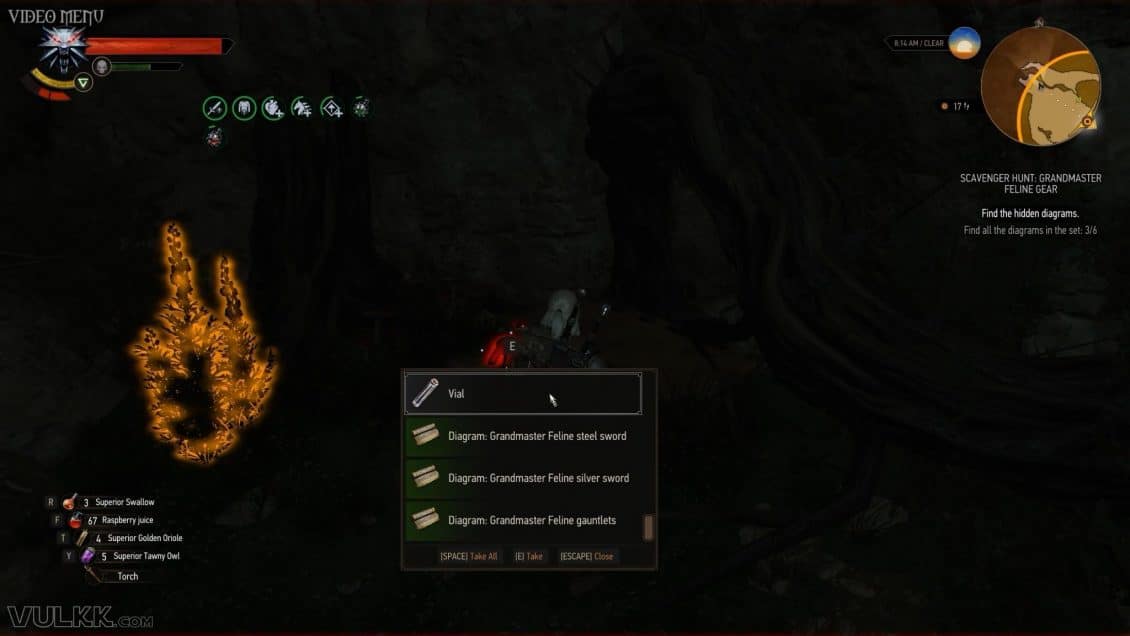 WITCHER 3 Grandmaster FELINE Gear Guide (B&W DLC Armor)