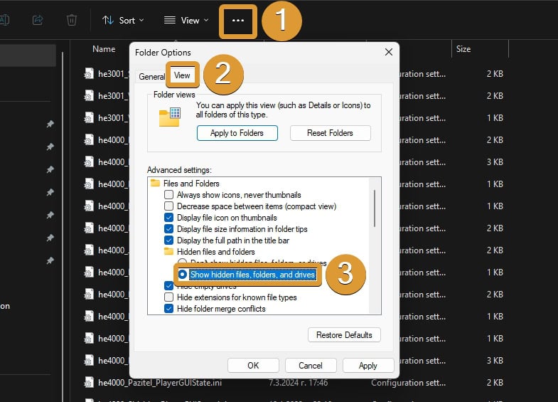 How to display hidden folders in Windows