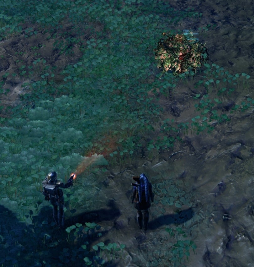 Your Companion Performing a Gathering Skills
