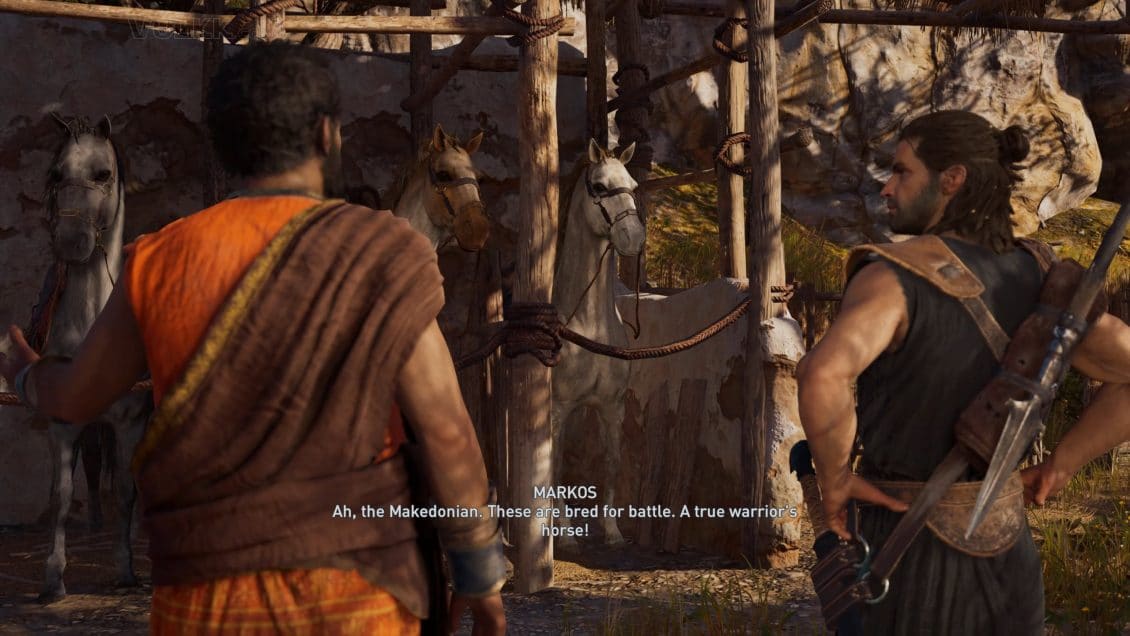 Assassin's Creed Odyssey - Which Starter Mount to Get - The Macedonian