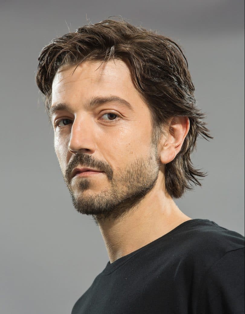 Star Wars Diego Luna Cassian Andor