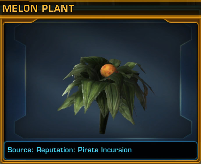 Melon Plant