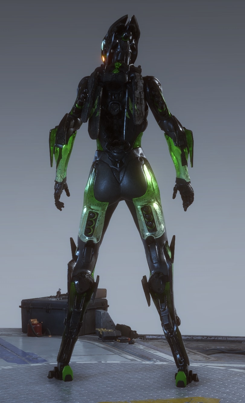 ANTHEM Anniversary Wraps - Empowered Interceptor - Back