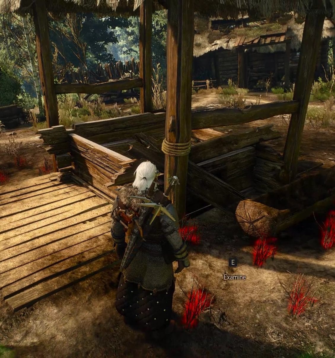 Examining the area around the well