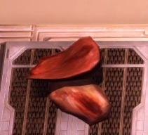 Chewy Nexu Tongue