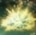 Comet Dust