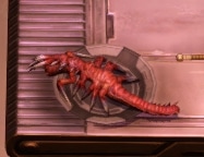Fresh, Slimy Vel Slug