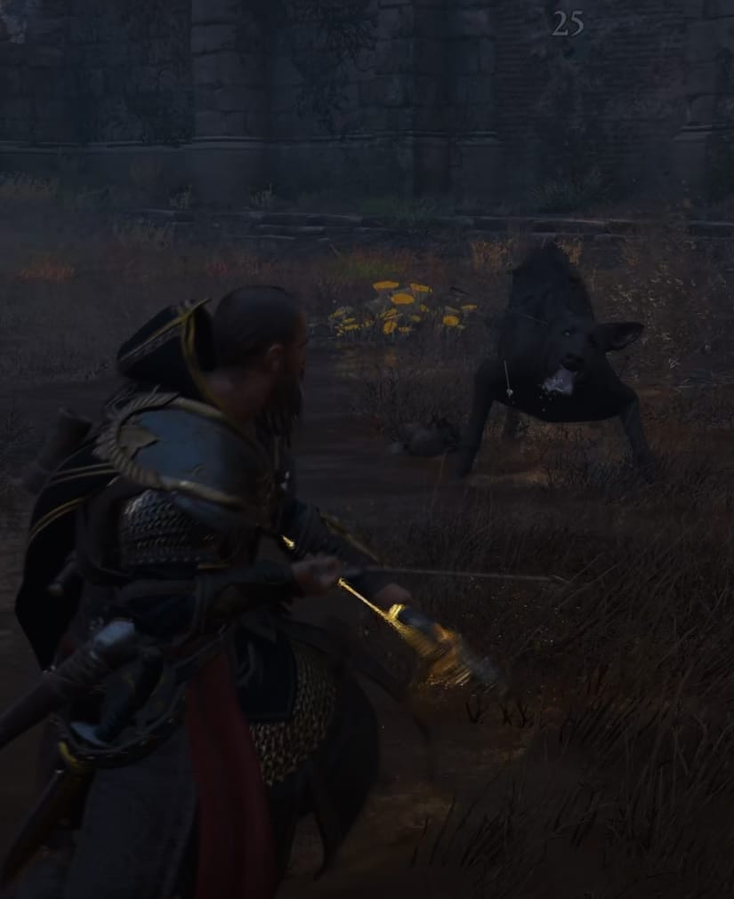 Black Shuck Legendary Animal Guide