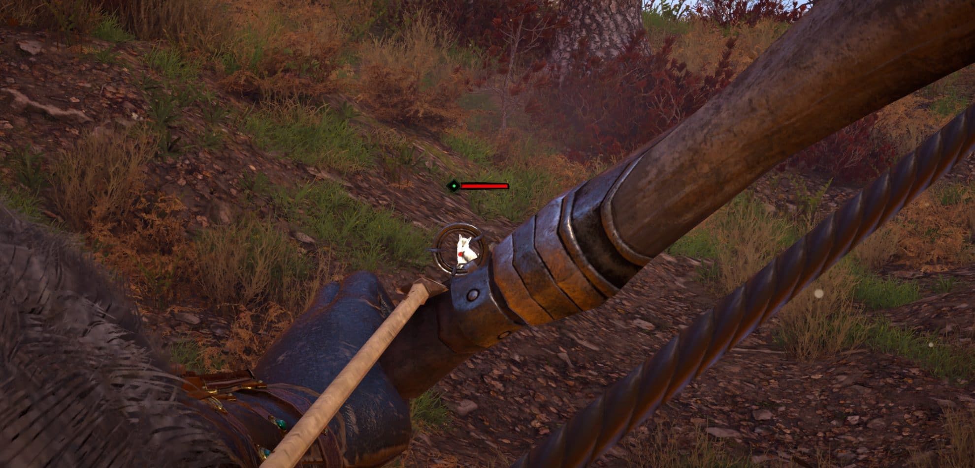 How to get Leather in AC Valhalla