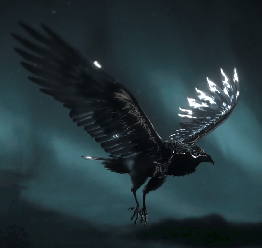Muninn raven skin