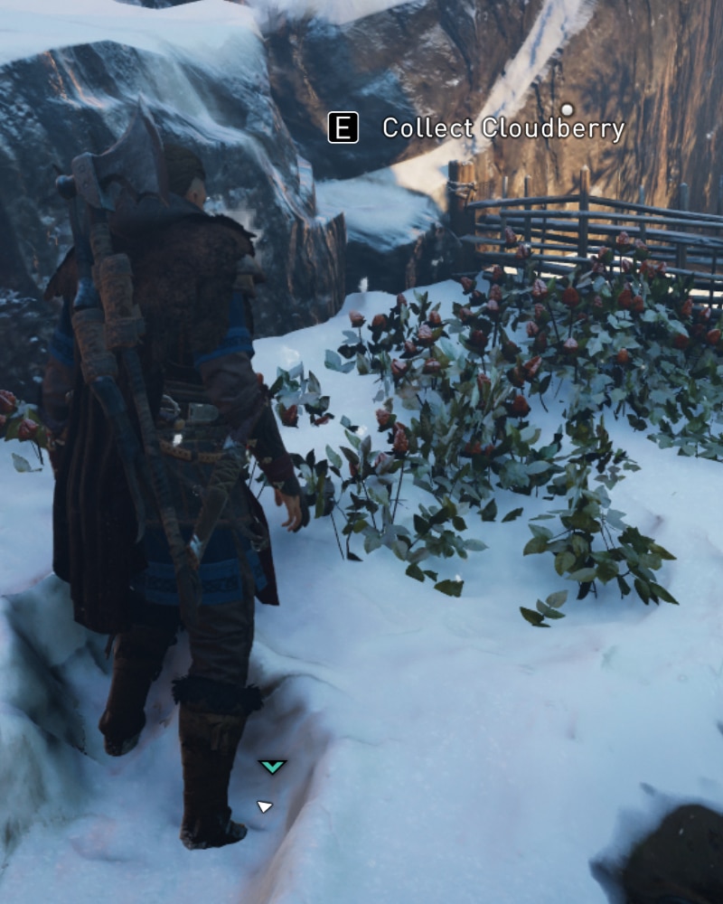 Assassins Creed: Valhalla foraging