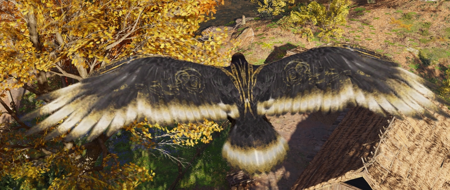 AC Valhalla Black Raven Packs Overview (March 2)