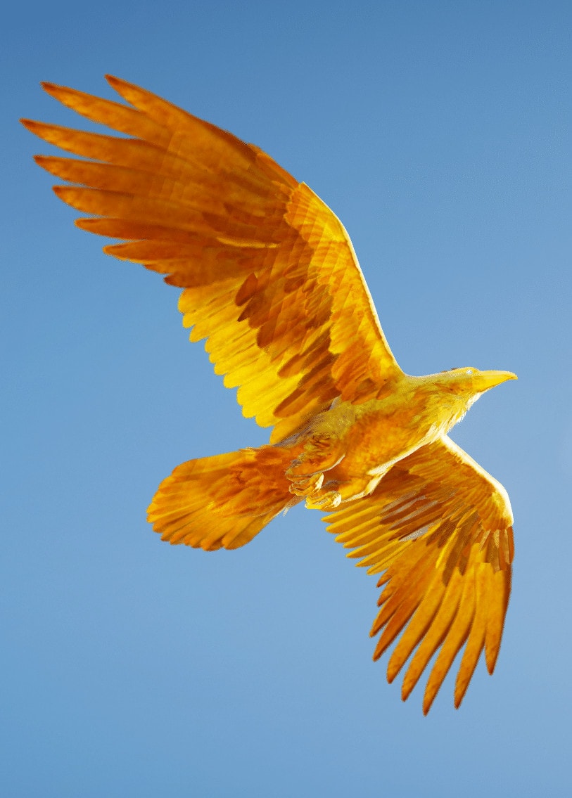 Thunderbird (raven skin)
