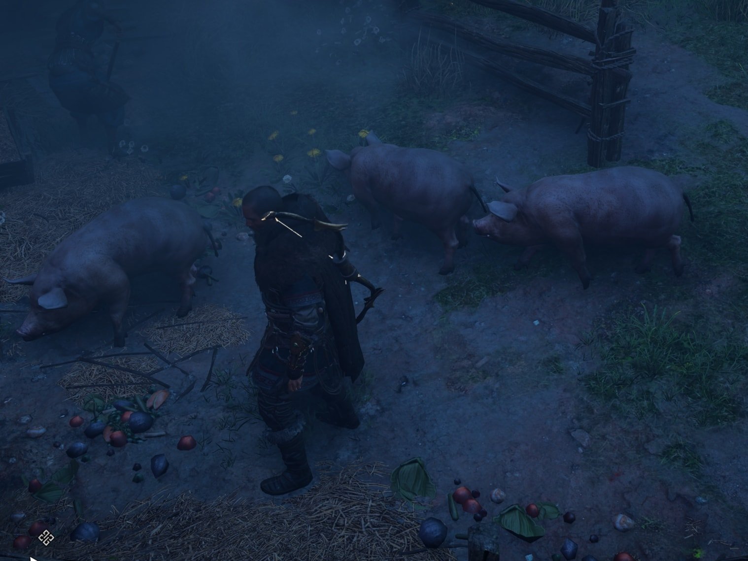 Pigs in the pens