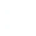Flurry
