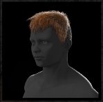 Rebel Cut Auburn)