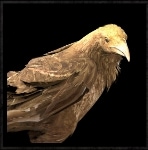 Rebel Raven