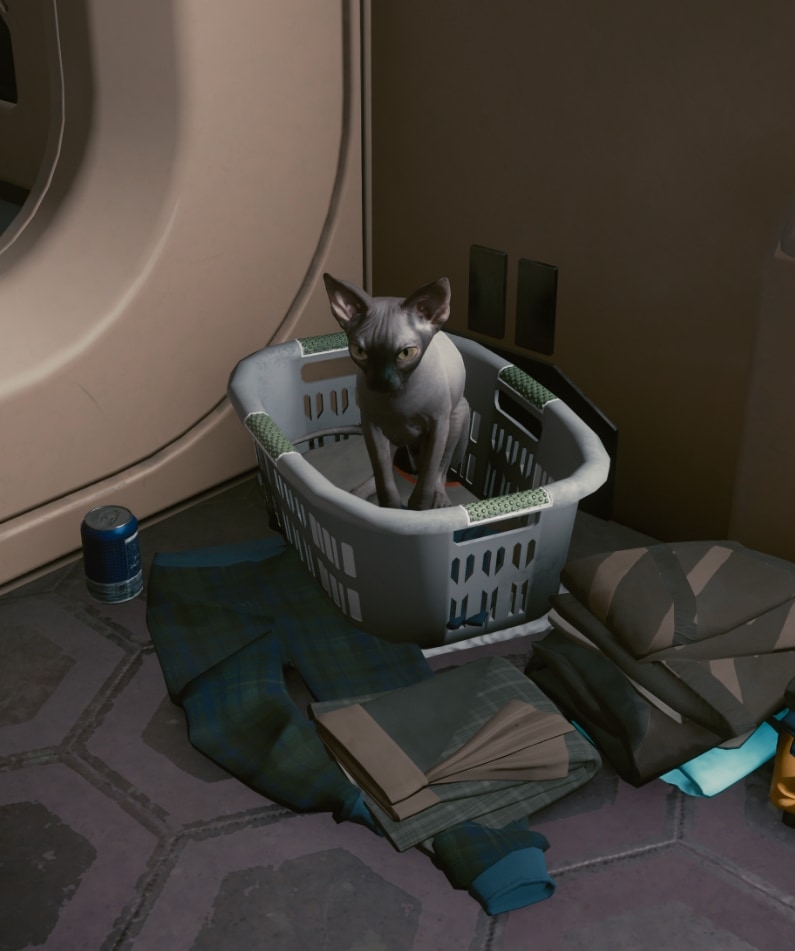 Where to find Nibbles the cat that you adopted in Cyberpunk 2077 Update 1.3