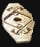 New World Mark of Fortune Icon