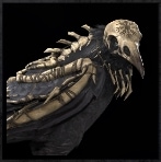Bone Raven