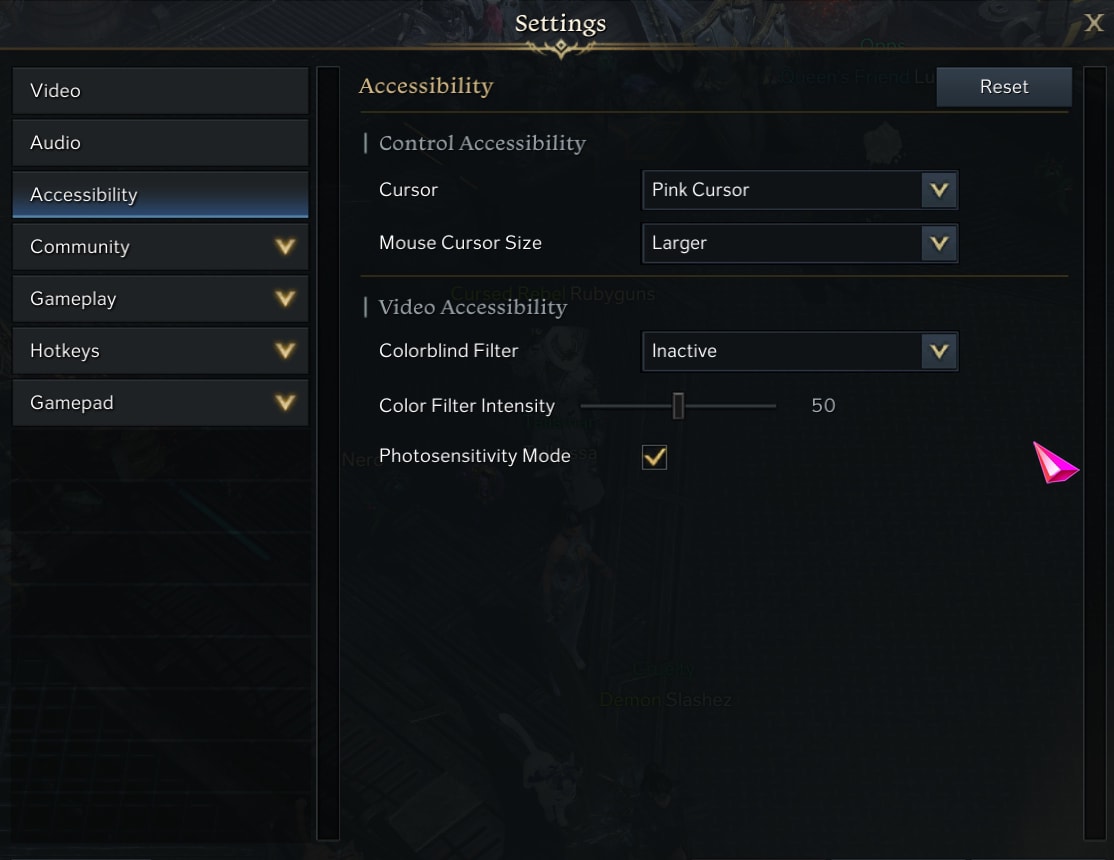 Lost Ark Settings Guide - Accessibility Tab