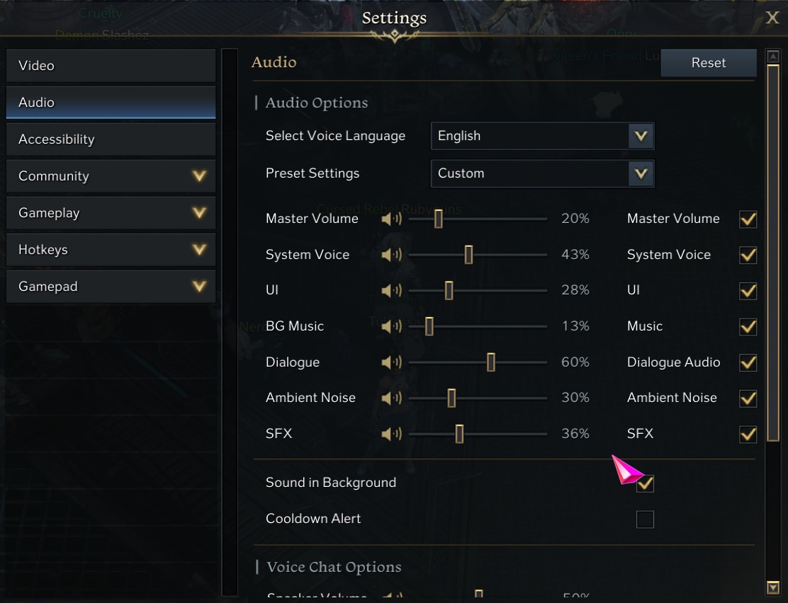 Lost Ark Settings Guide - Audio Tab