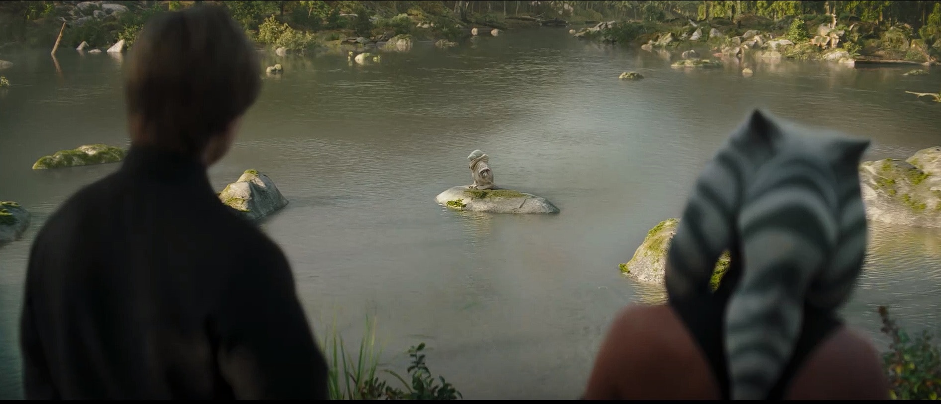 Luke and Ahsoka watching Grogu