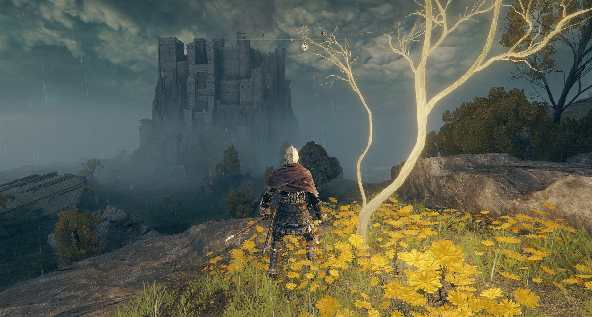 Weeping Peninsula Golden Seed Location