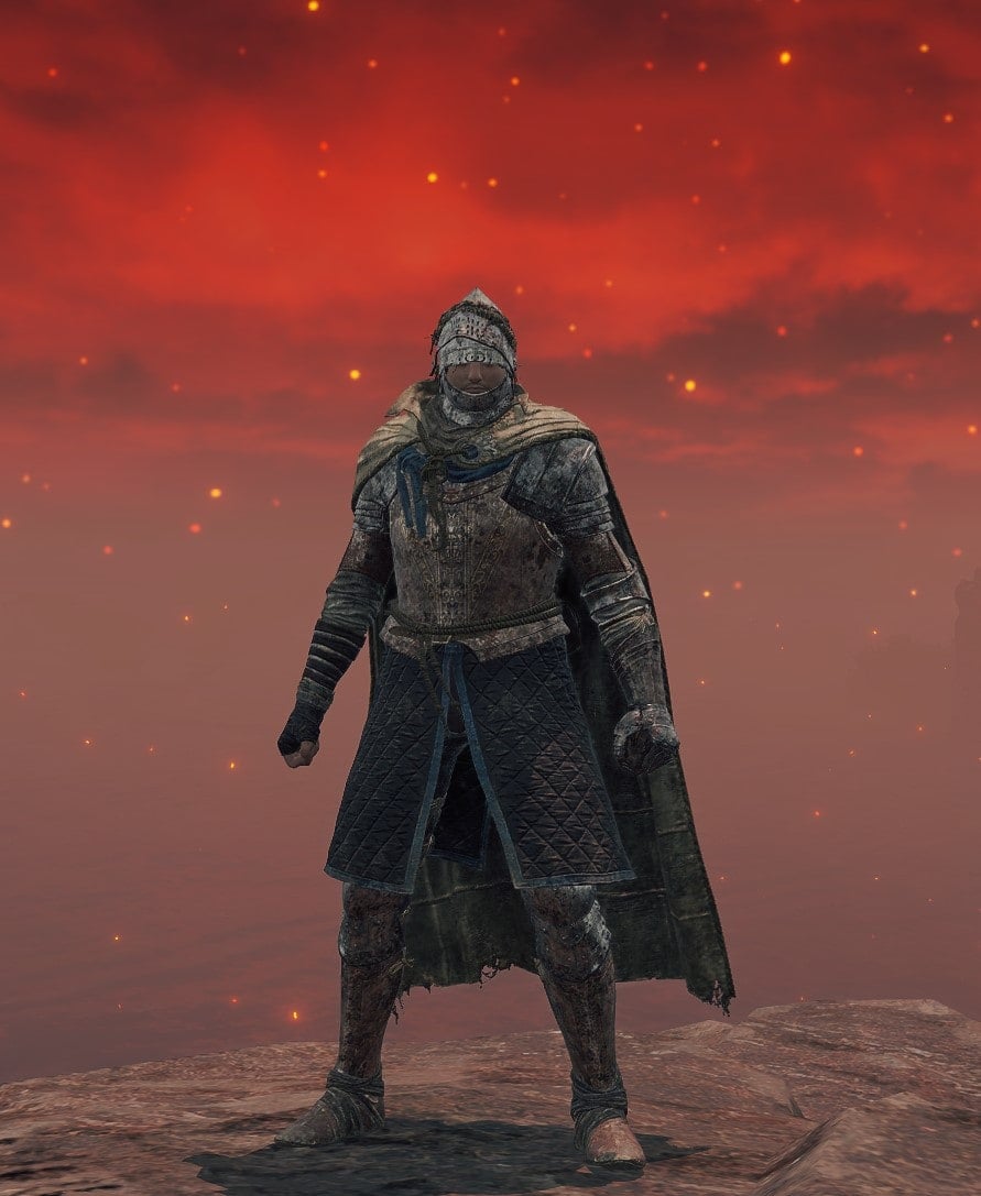 Vagabond Knight