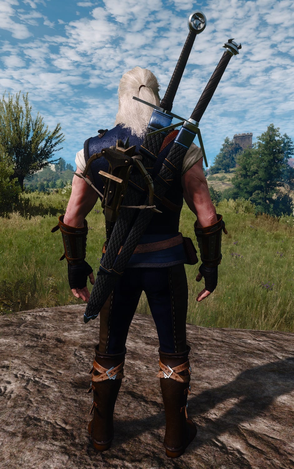 The Witcher 3 Feline Gear Set Visual overview - Back