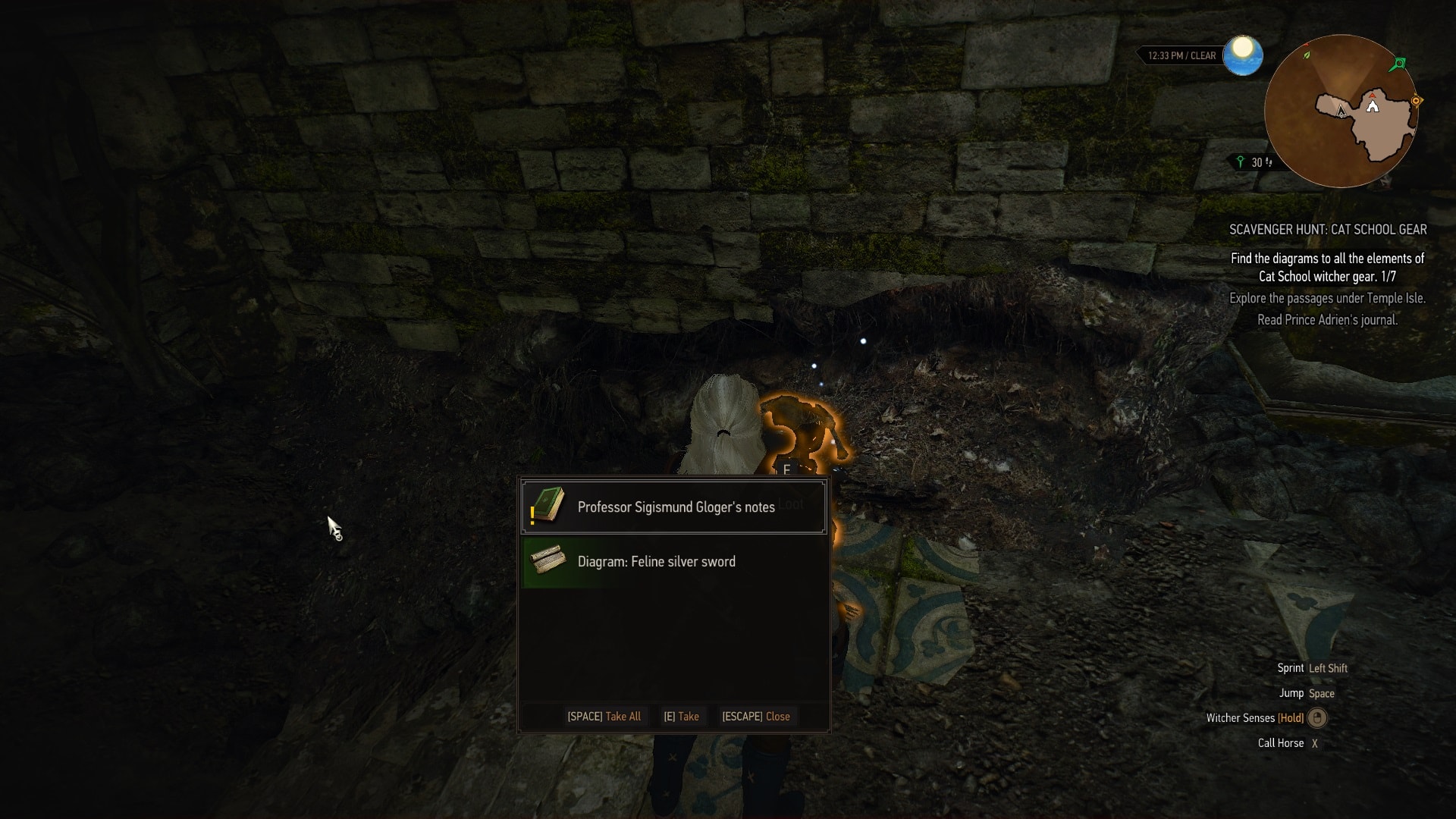 Feline Silver Sword Diagram Location