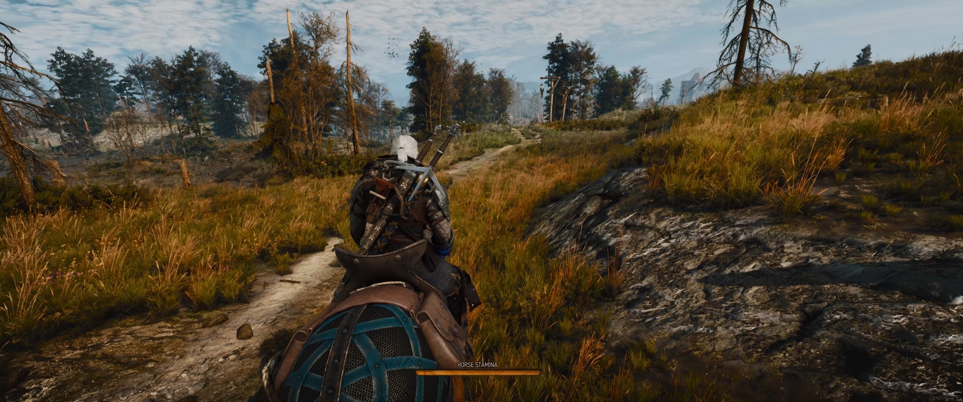 Horseback Camera - Close