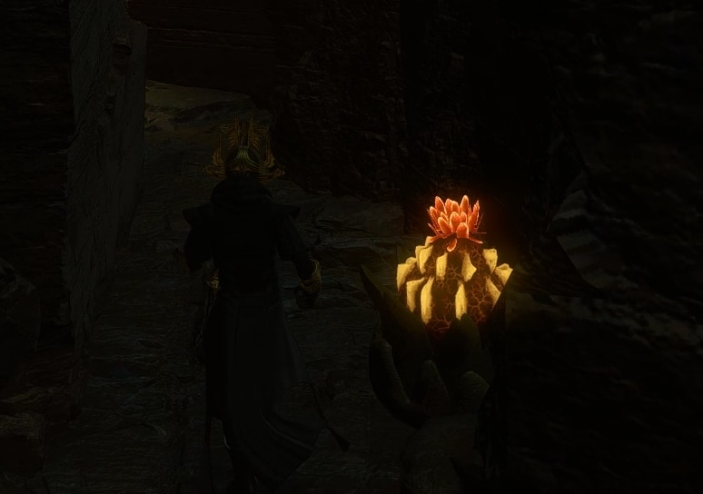 Red Plants on the path to the Datacron