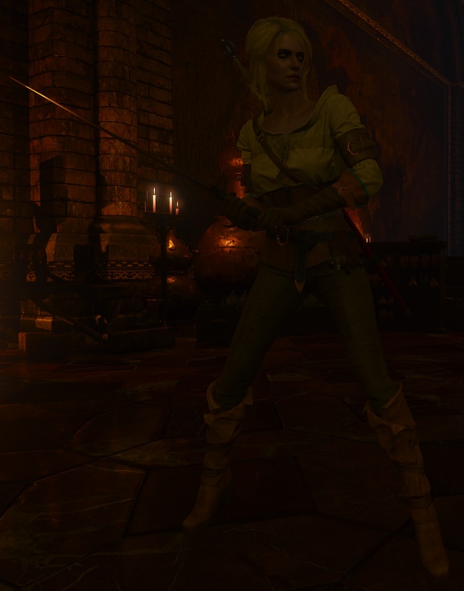 Witcher 3 Ciri DEFAULT Appearance