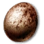 Witcher 3 Griffin's Egg