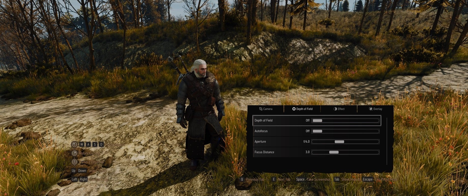 Witcher 3 Next-Gen Photo Mode Guide - Effects Tab