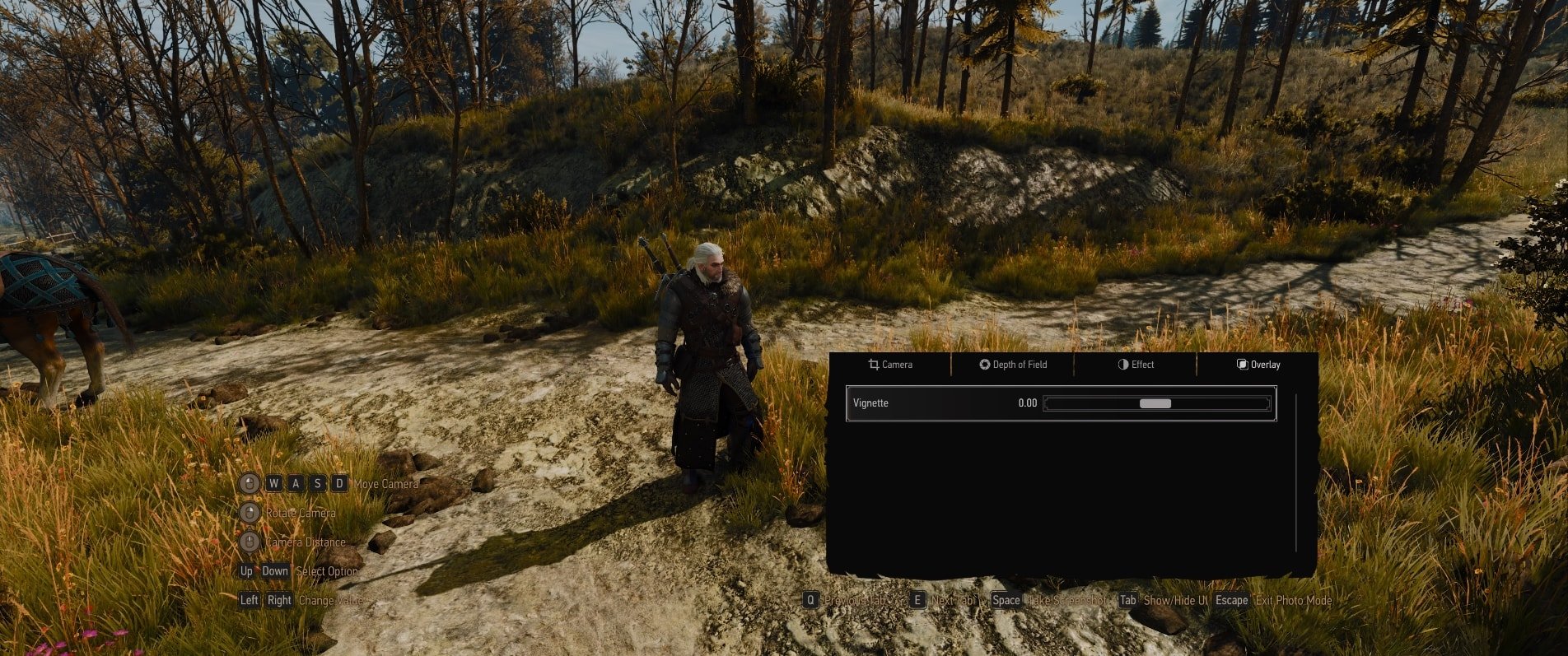 Witcher 3 Next-Gen Photo Mode Guide - Overlay Tab