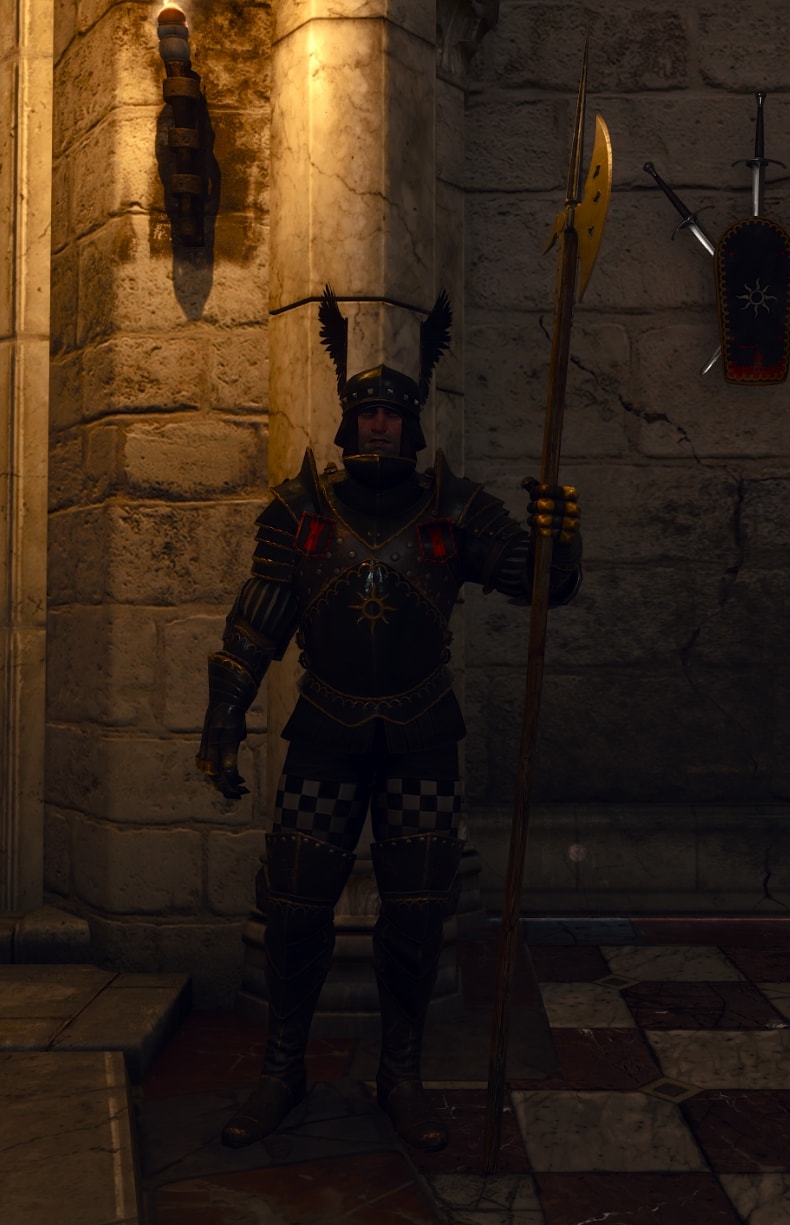 Witcher 3 Nilfgaardian Armor DEFAULT Appearance