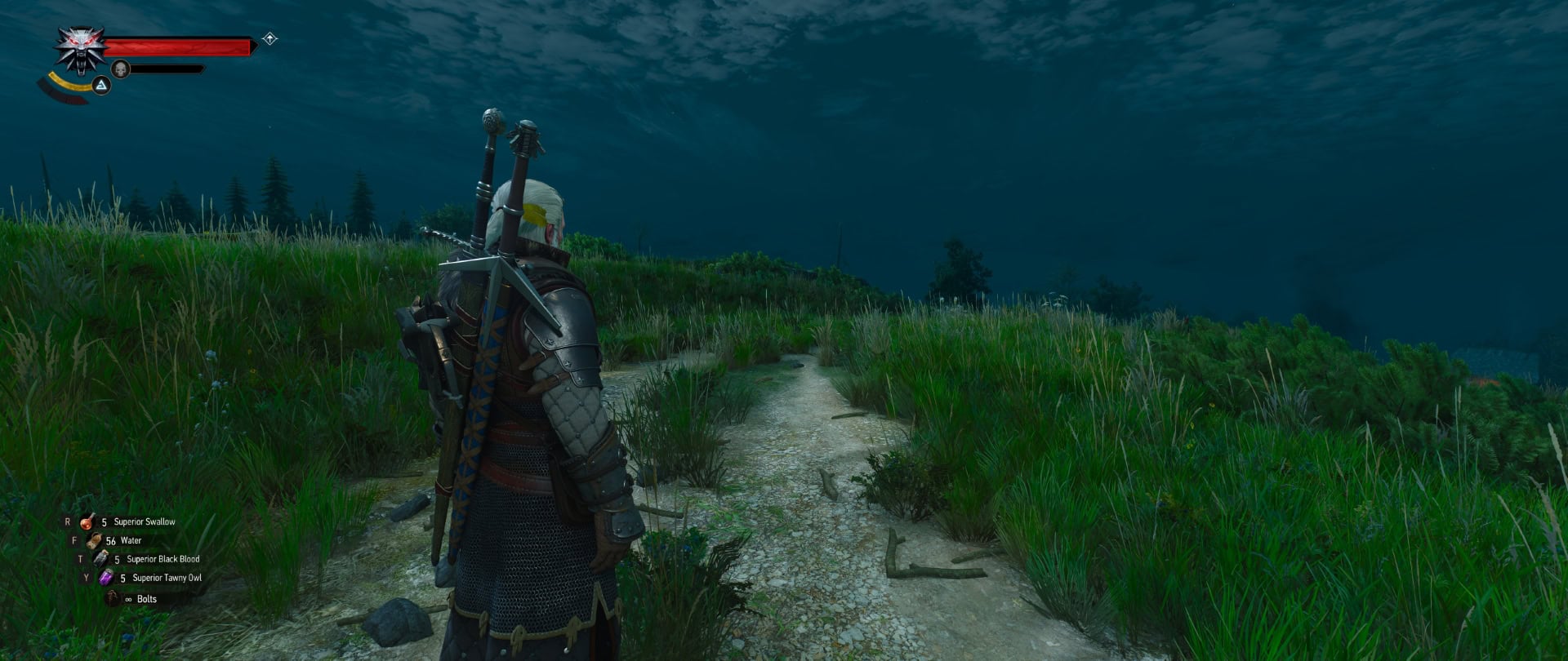 Witcher 3 Remastered - Exploration Camera - Close mode