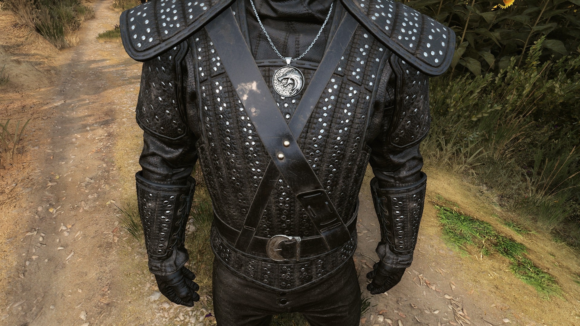 Forgoten Wolven Witcher Gear Set - Fclose up - Witcher 3 Netflix DLC Witcher Gear Set inspired from the TV Show