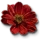 Beggartick Blossoms