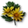 Celandine