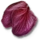 Ginatia petals