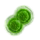 Lesser Green Mutagen