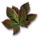 Nostrix