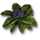 Pringrape