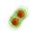 Special Green mutagen