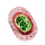 Special Red Mutagen
