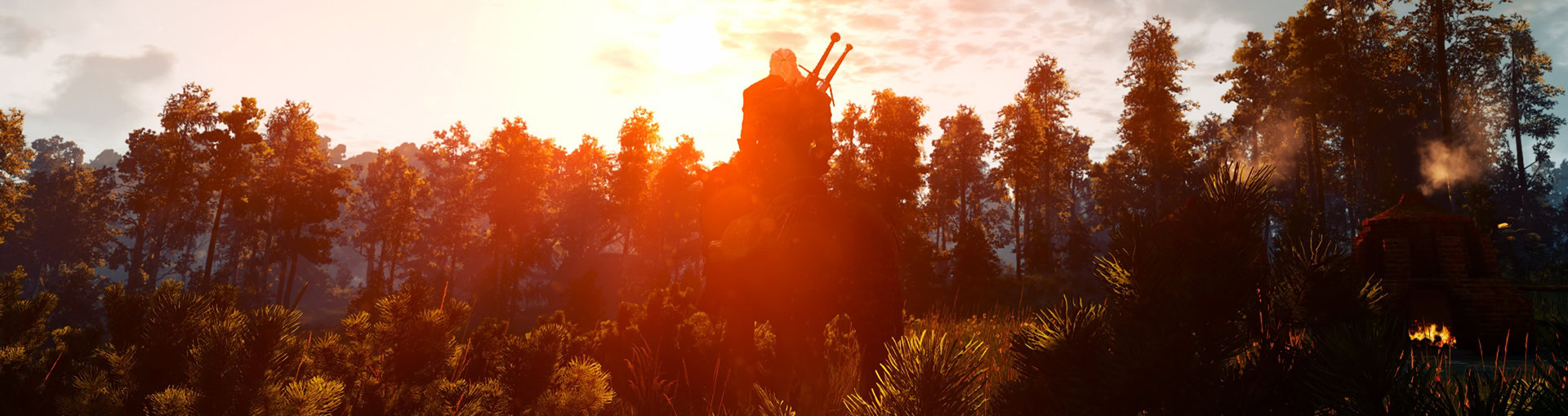 The Witcher 3 Decoctions Catalog Featured